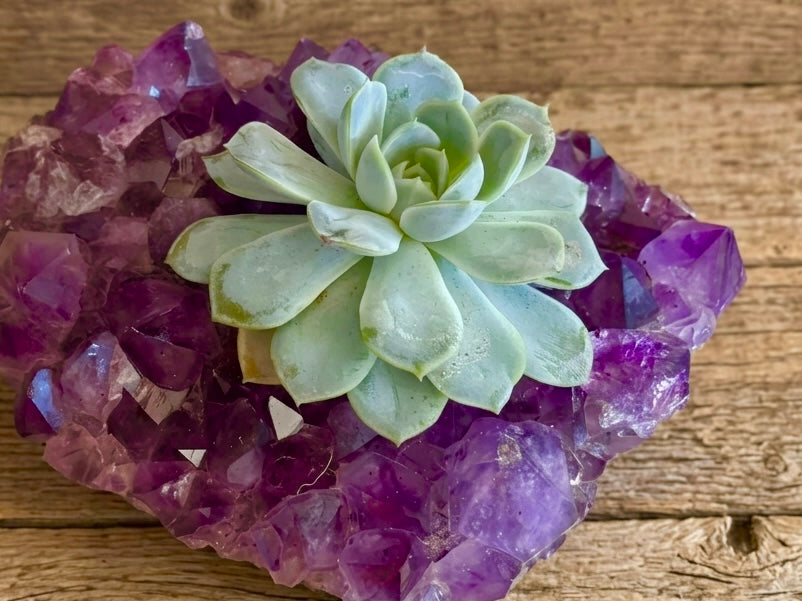 Oak Ranch Crystal Amethyst Collection